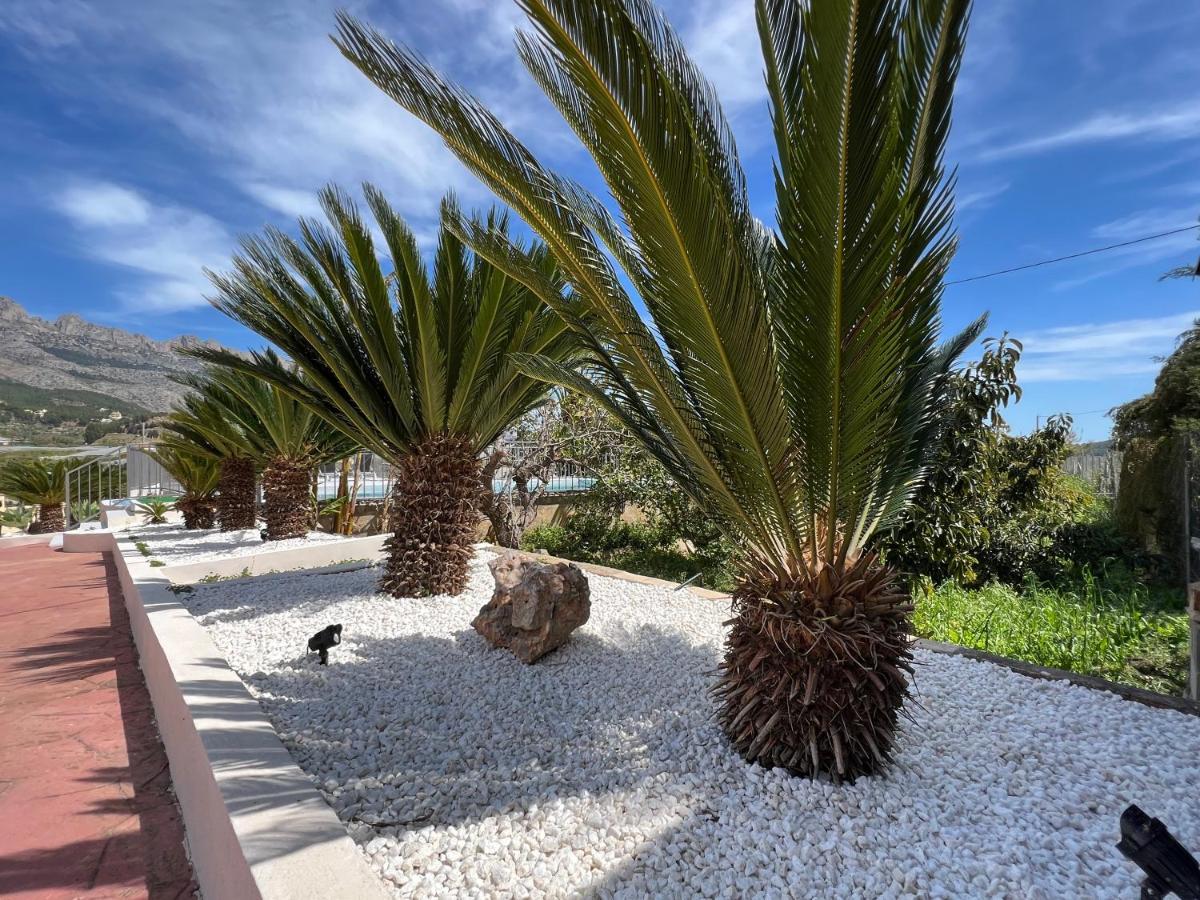 Casa Rural Altaret Callosa de Ensarriá المظهر الخارجي الصورة