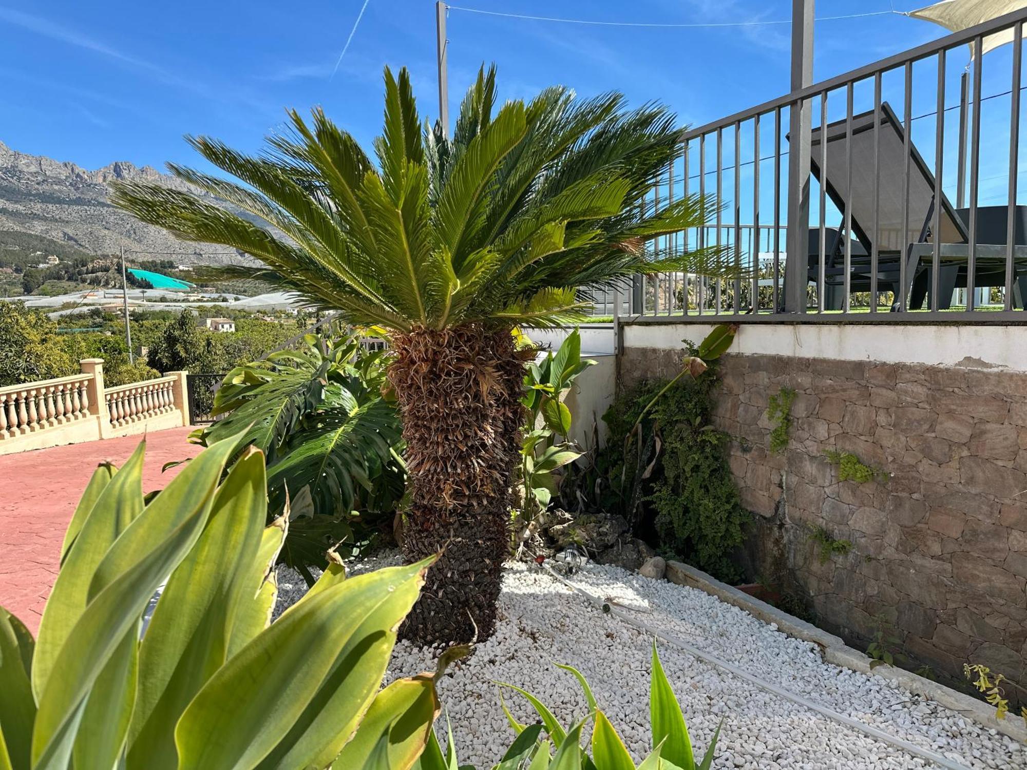 Casa Rural Altaret Callosa de Ensarriá المظهر الخارجي الصورة
